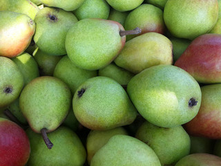 Lots of green pears for fruit background