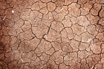 Dry ground wallpaper