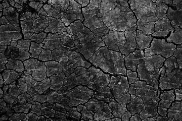 Dry ground wallpaper