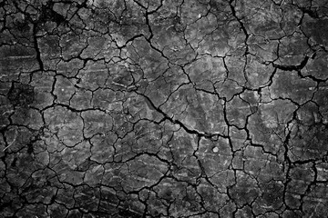 Dry ground wallpaper