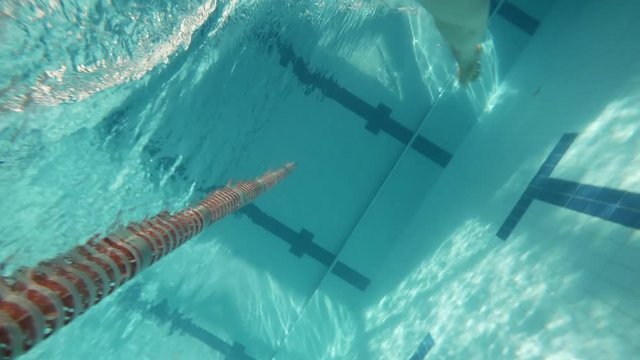 FREESTYLE: An athlete is swimming in a swimming pool (underwater view - action cam)