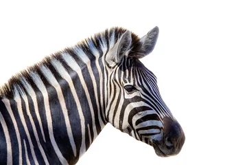 Deurstickers Zebra hoofd geïsoleerd op witte achtergrond © theshoother