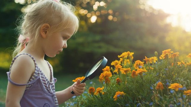 Girl with magnifying glass exploring flowers