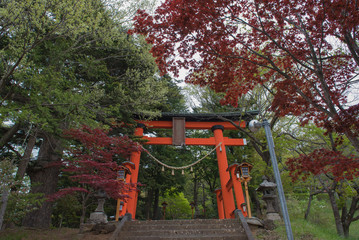 Fototapeta na wymiar Japanese Torii Orange wooden gates travel in japan 