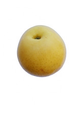 Golden Delicious apple (Malus domestica Golden Delicious). Image of single apple isolated on white background