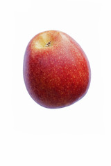 Scilate apple (Malus domestica Scilate). Hybrid between Royal Gala and Braeburn apples. Known as Envy apple also. Image of single apple isolated on white background