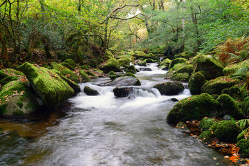 The River Plym