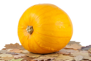 Fall leaves with pumpkins on a white background