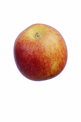 Scilate apple (Malus domestica Scilate). Hybrid between Royal Gala and Braeburn apples. Known as Envy apple also. Image of single apple isolated on white background