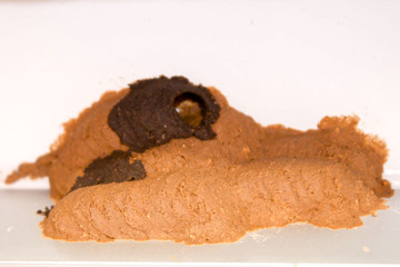 nest of wasp made of mud in the corner of a wall