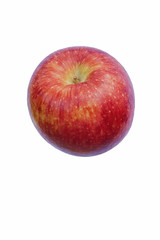 Scilate apple (Malus domestica Scilate). Hybrid between Royal Gala and Braeburn apples. Known as Envy apple also. Image of single apple isolated on white background