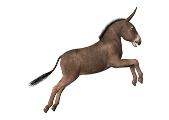 Obraz na płótnie Canvas 3D Rendering Donkey on White