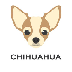 Vector illustration og chihuahua dog in flat style. Chihuahua flat icon. - obrazy, fototapety, plakaty