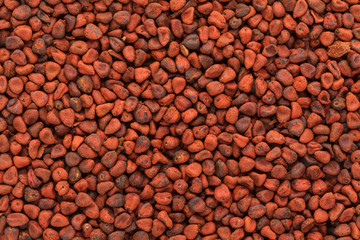Organic dry Annatto (Bixa orellana) seeds. Macro close up background texture. Top view.