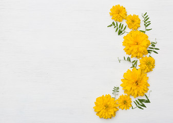 top view on beautiful yellow summer flowers on white wooden background.