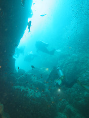 the diver is diving in the sea, Myanmar