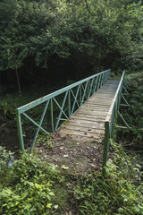 Fototapeta premium Old pedestrian bridge in the woods