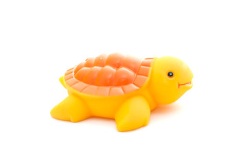 Bath toy turtle on white background