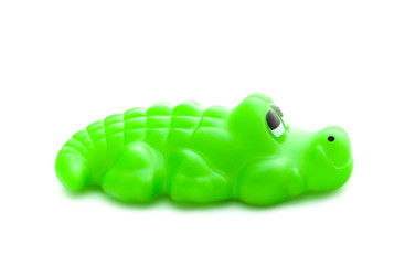 Bath toy crocodile on white background