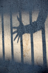 shadow of hand in jail