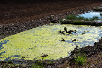 Torfmoor / Torfabbau / Moorlandschaft