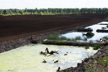 Torfmoor / Torfabbau / Moorlandschaft