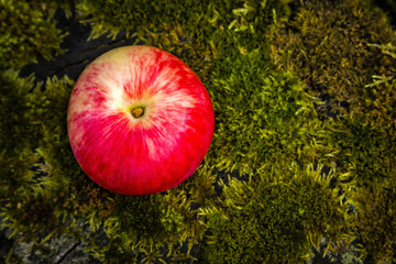 Red apple on a green moss