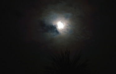 moon and cloudy on sky in the night