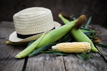 corn and straw hat © mariyakuprevich