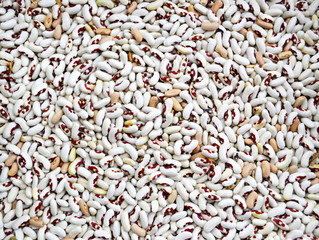 kidney bean. environmentally friendly product kidney bean