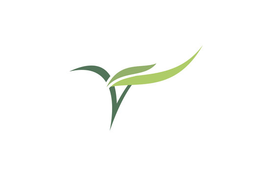 V beauty leaf vector logo