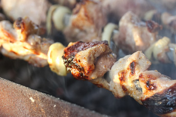 grilled kebab