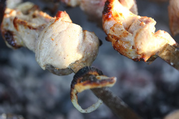 grilled kebab