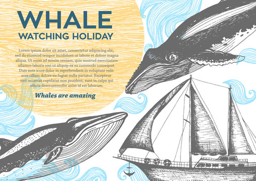 Nautical vector illustration drawn in ink. Frigate and whales on the waves. Sea design template. Whale watching holiday.