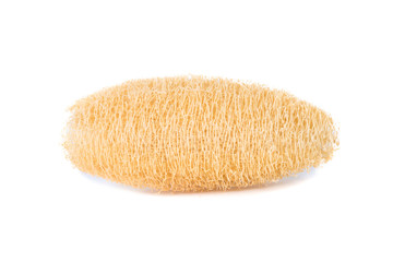 Dry Luffa, luffa sponge on white background, isolated on white b