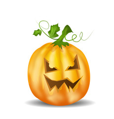 Halloween pumpkin illustration