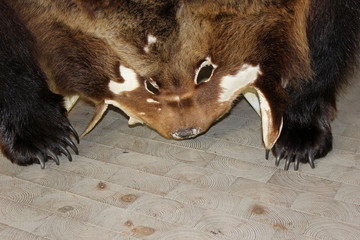 Umweltschutz, Jagd: Fell eines Braunbären