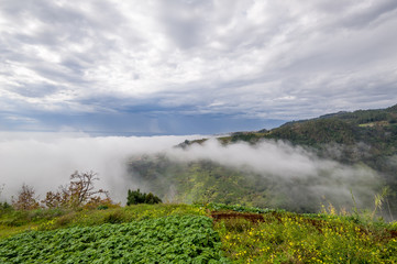 Madeira island mountain landscape view from Levada Nova hike.