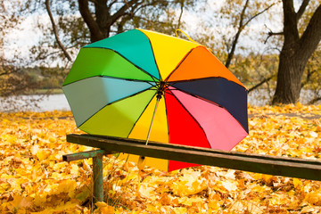 Colorful umbrella lying on yellow leafs