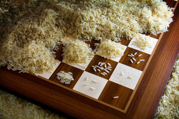 chessboard with exponential growing heaps of rice grains