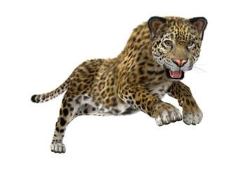 3D Rendering Big Cat Jaguar