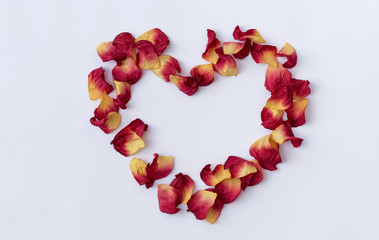 Colorful paper rose leave in heart shape on white background