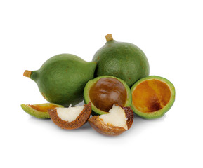 macadamia nuts on white background