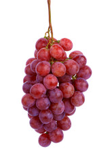 Ripe red grape isolated on white