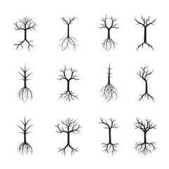 Set naked black Trees and Roots. Vector Illustration.