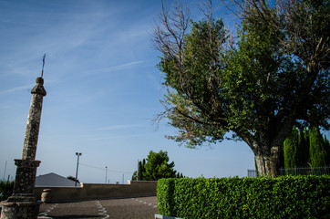 Obraz premium Giardino di Cipressi