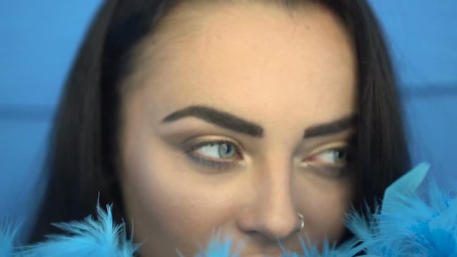 Closeup portrait of beautiful seductive brunette woman smiling and looking into the camera while playing with blue feather boa over blue wall background