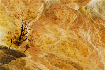Mammoth Hot Spring Terraces, Yellowstone National Park, Wyoming, United States