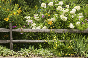 Old weathered wooden fence and lush flower vegetation as natural background