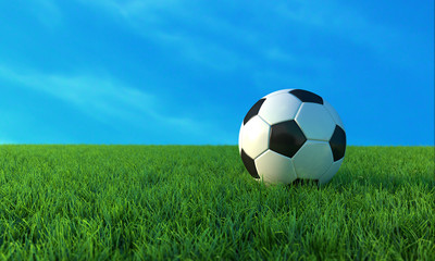 Fototapeta premium Soccer ball on green grass .3D illustration.